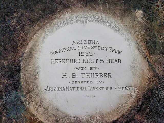 Arizona national livestock show Hereford cow cattte trophy 1966 Herald B Thurber