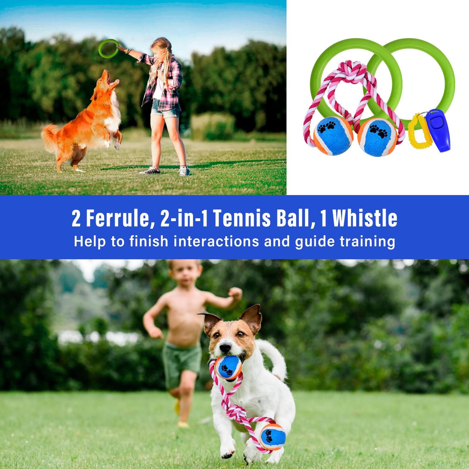 Dog Agility Training Kit Equipment 7pcs Set with Hurdles Tunnel Outdoor