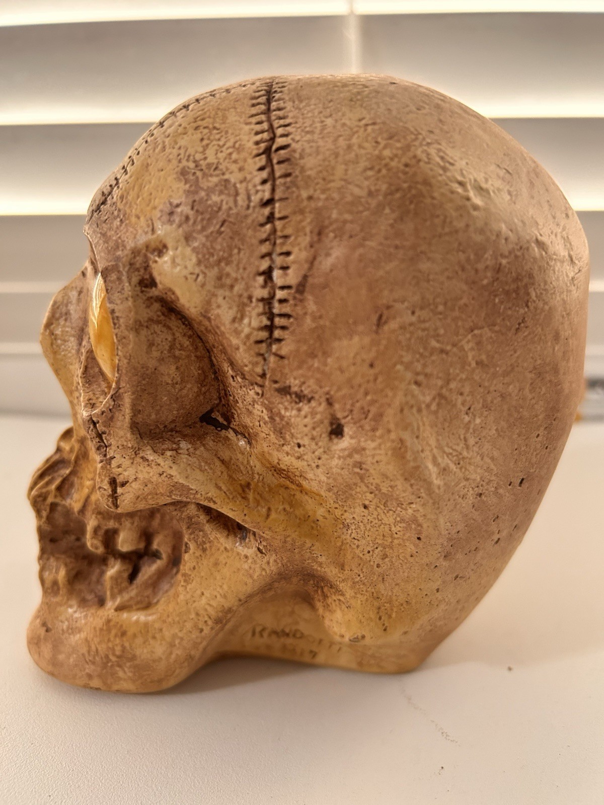 VINTAGE RANDOTTI SAMPLE "GOOGLE YELLOW EYED SKULL" STILL GLOWS IN THE DARK