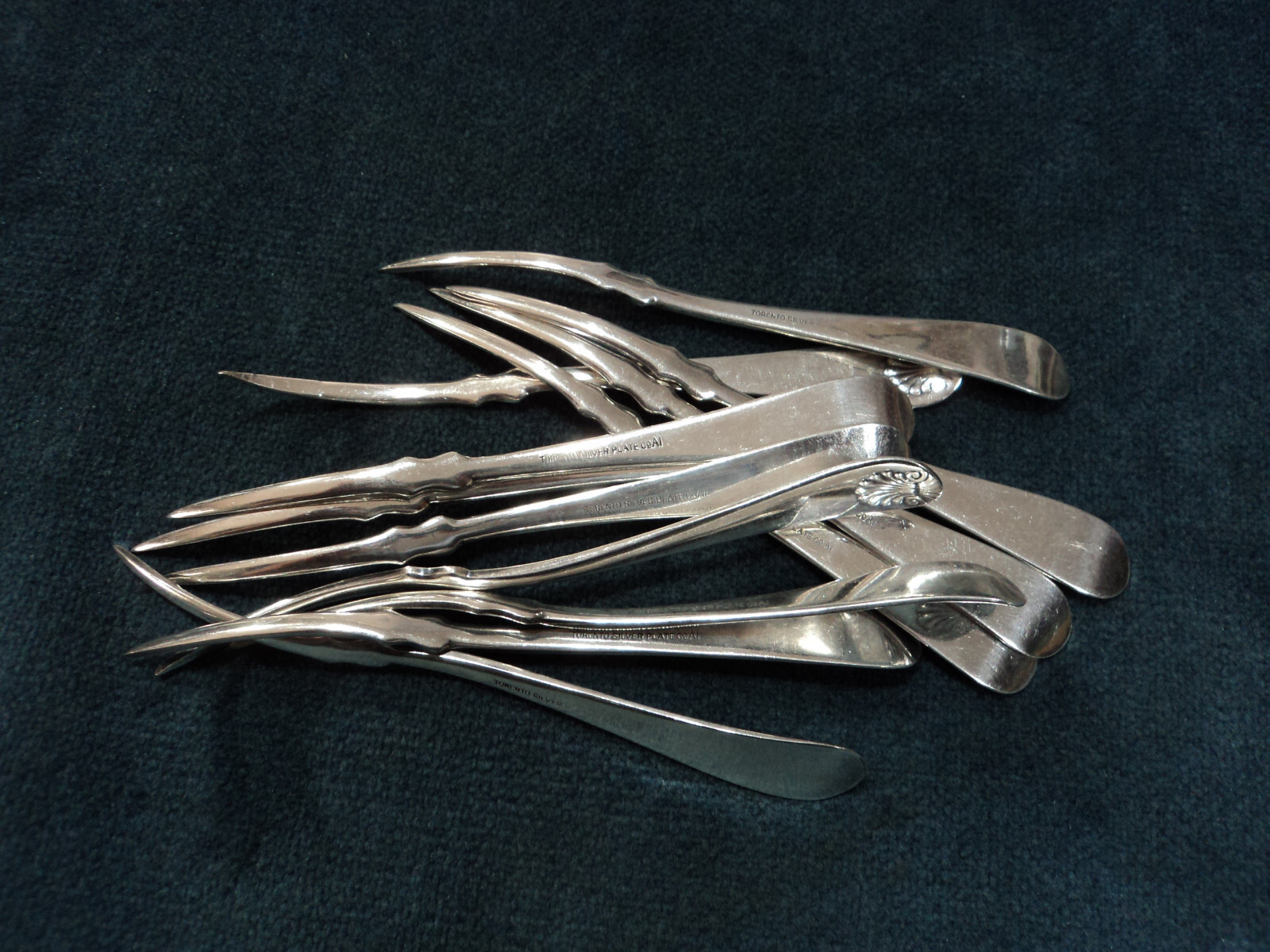 Silverplate Flatware Lot of 12 Nut Picks Towle Shell ii Victorian 1889