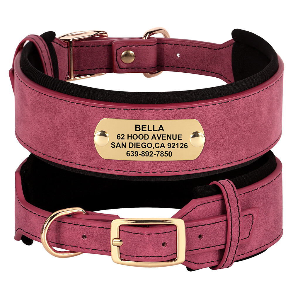 Wide Leather Dog Collar Personalized Nameplate Soft Padded for Large Dogs M-XL