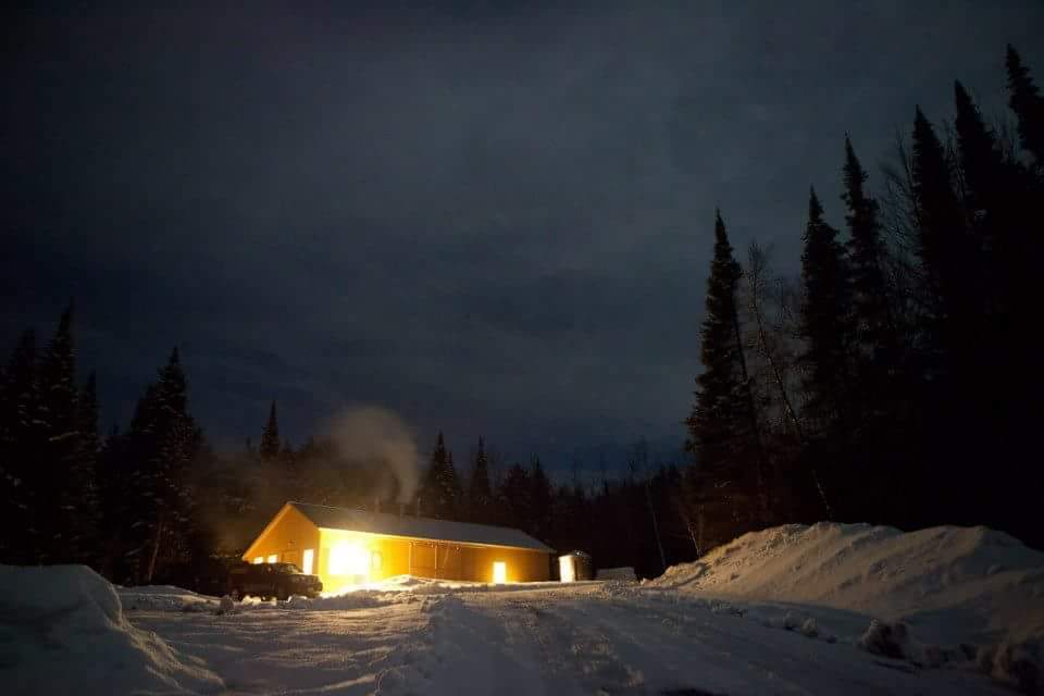 Pure Organic Vermont Maple Syrup - From Barred Woods Maple