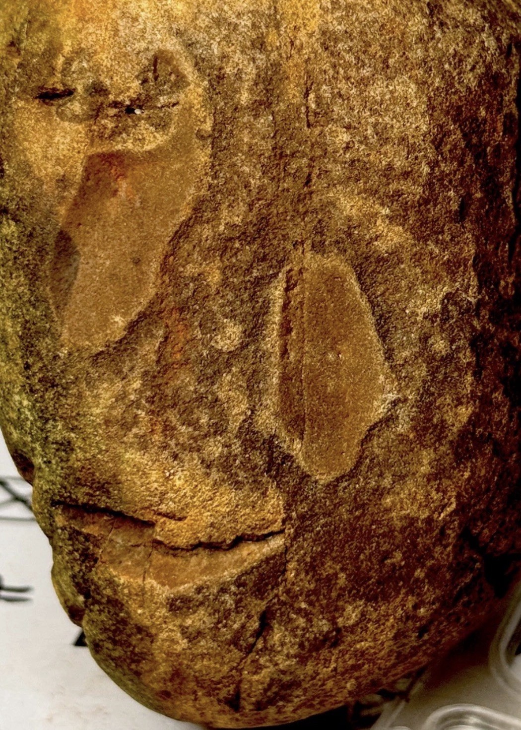 Native American Indian Authentic Artifact Stone Carved Effigy, 3 lb 2 oz • VA