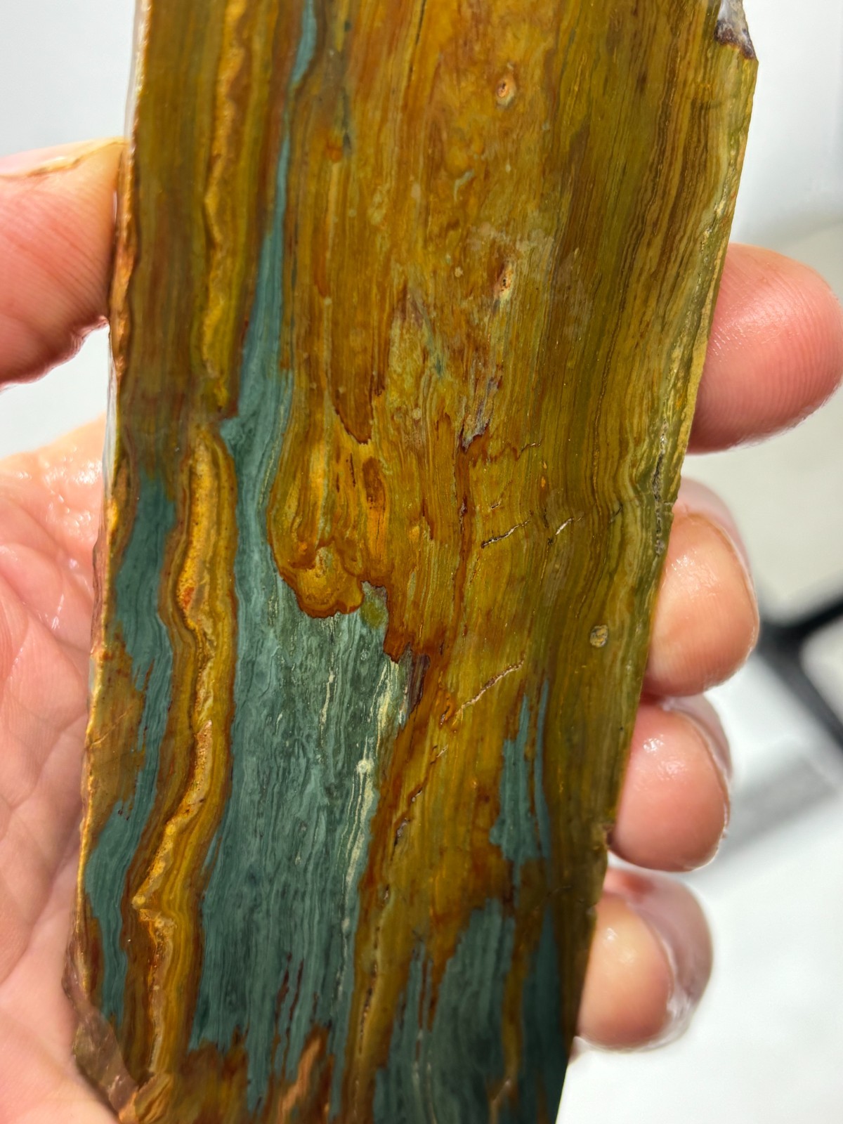 Gary Green Caldera Freedom Jasper Slab Cabbing Lapidary Combo Ship Avail