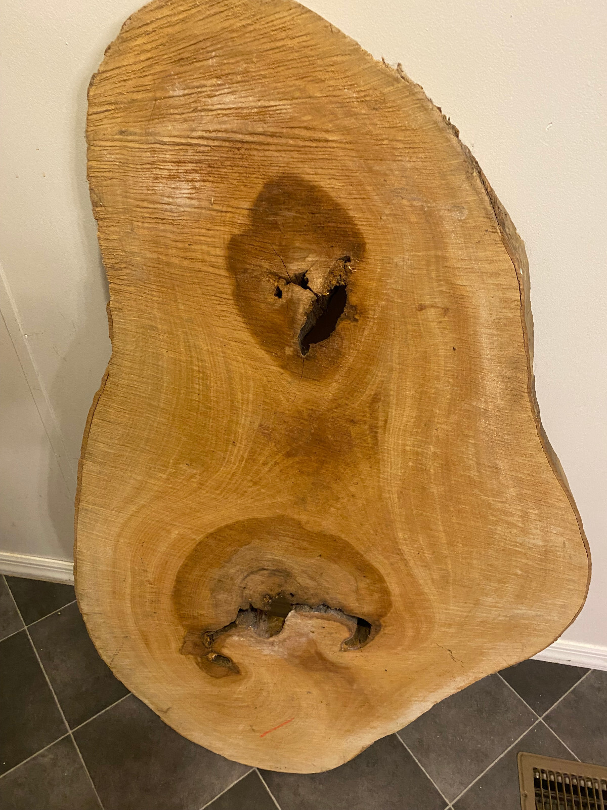 Large Stunning Live Edge Sycamore Slab 43" x 27"-13" x 1.75" Rustic Table top