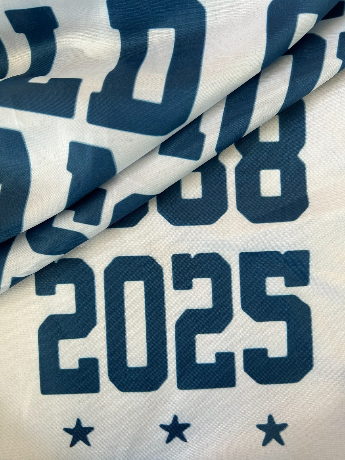 Los Angeles Dodgers 2025 World Series Champions 3x5 Ft Flag Ready To Ship CA