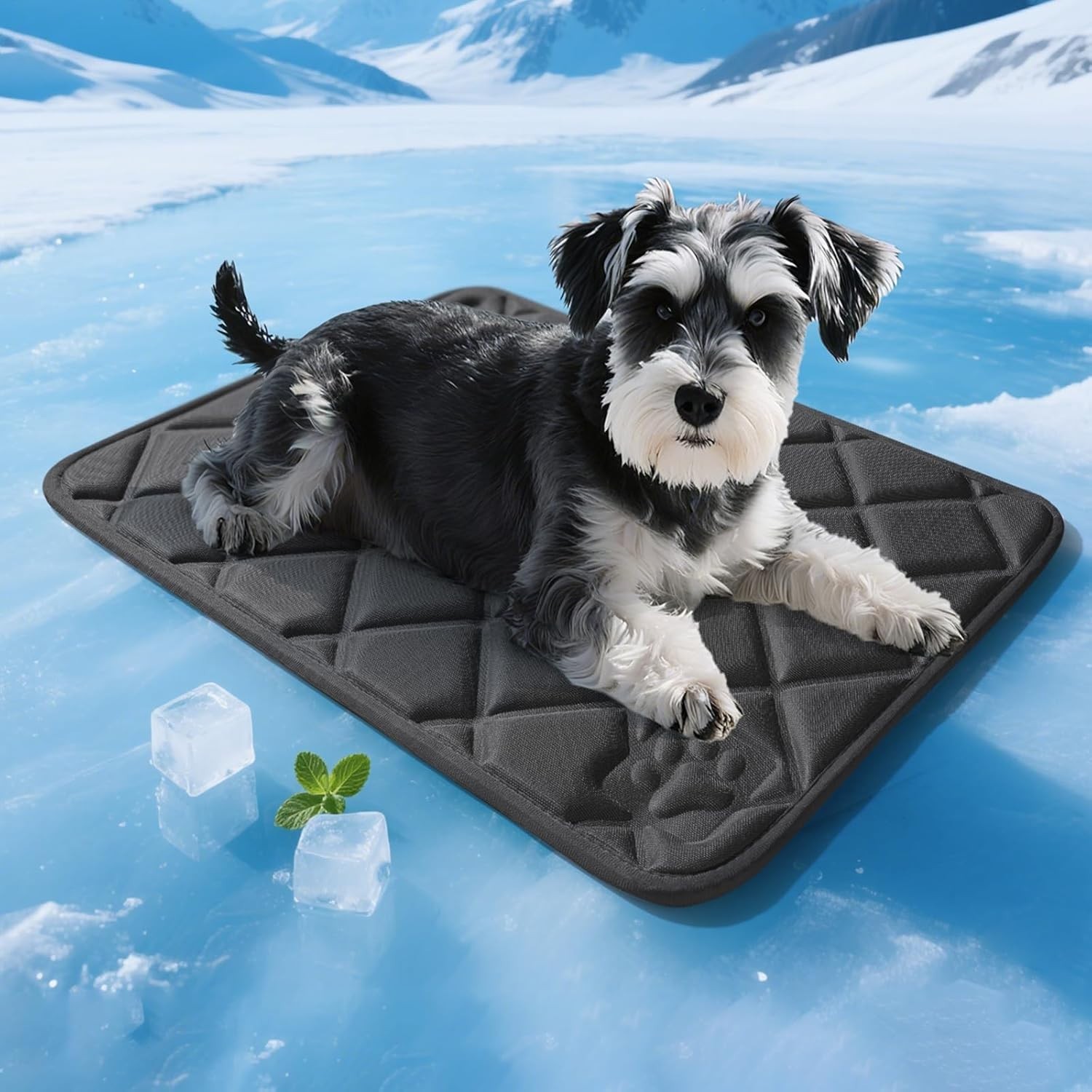 Dog Cooling Mat, Ice Silk Self Cool Pad for Dogs and Cats (35"x24", Black)