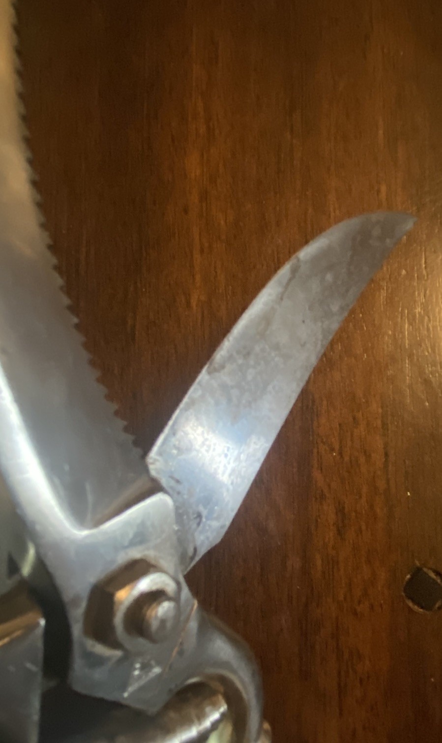 S. R. Droescher SRD Solingen 10-Inch Steel Secateur Pruner