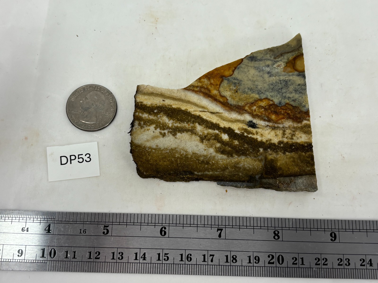 Disaster Peak Picture Jasper Slab Cabbing Lapidary Collecting Combo Ship Avail