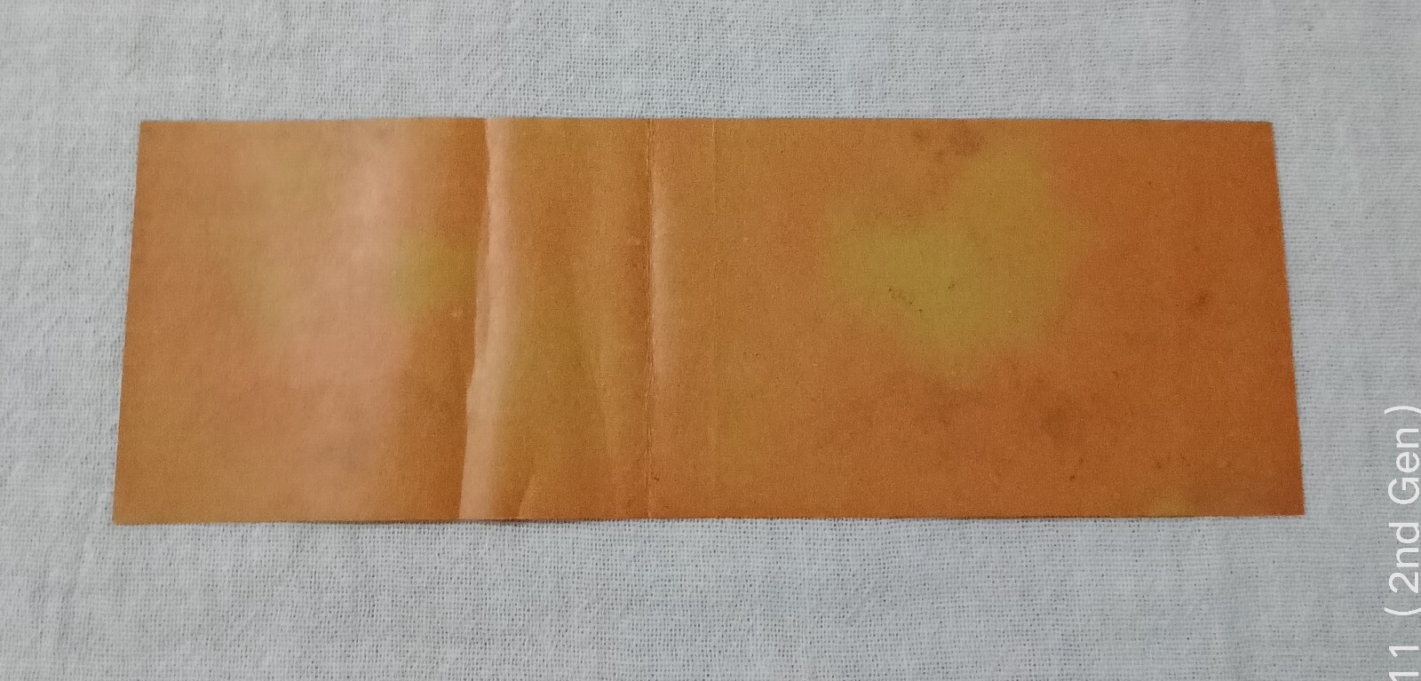 1953 MICHIGAN NON RESIDENT HUNTING LICENSE PAPER BACK TAG