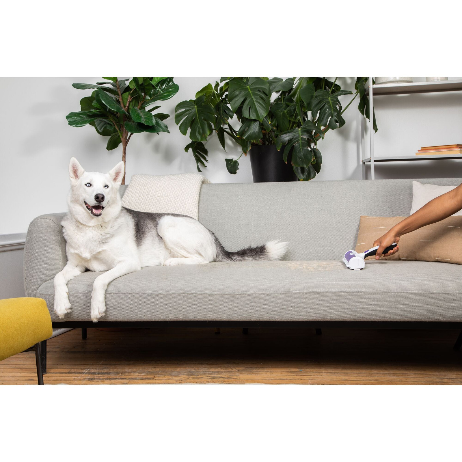 BLACK+DECKER Pet Hair Remover - HMSCT0001