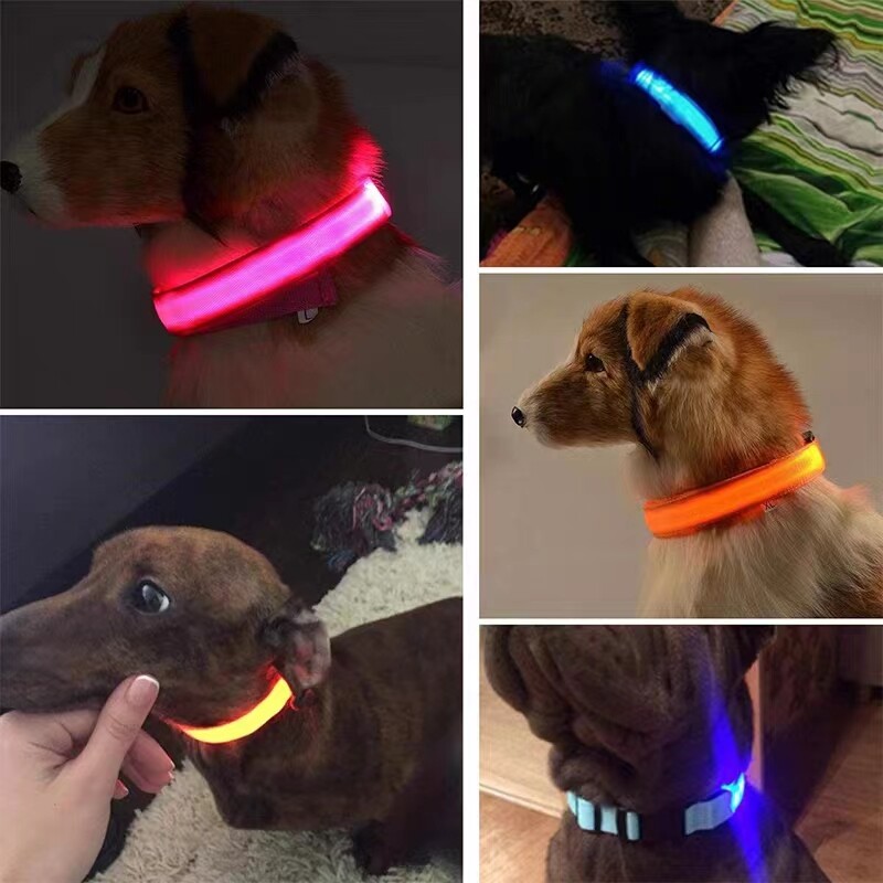 LED Dog Collar Blinking Night Flashing Light Up Glow Adjustable Pets Safety USA