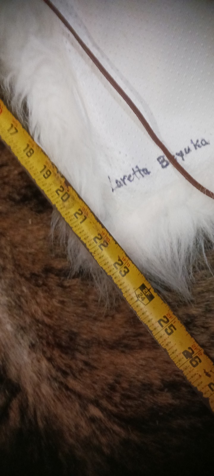*AWESOME NATIVE AMERICAN WHITE BUFFALO HEAD DRESS LORETTA BEYUKA NICE HTF !*