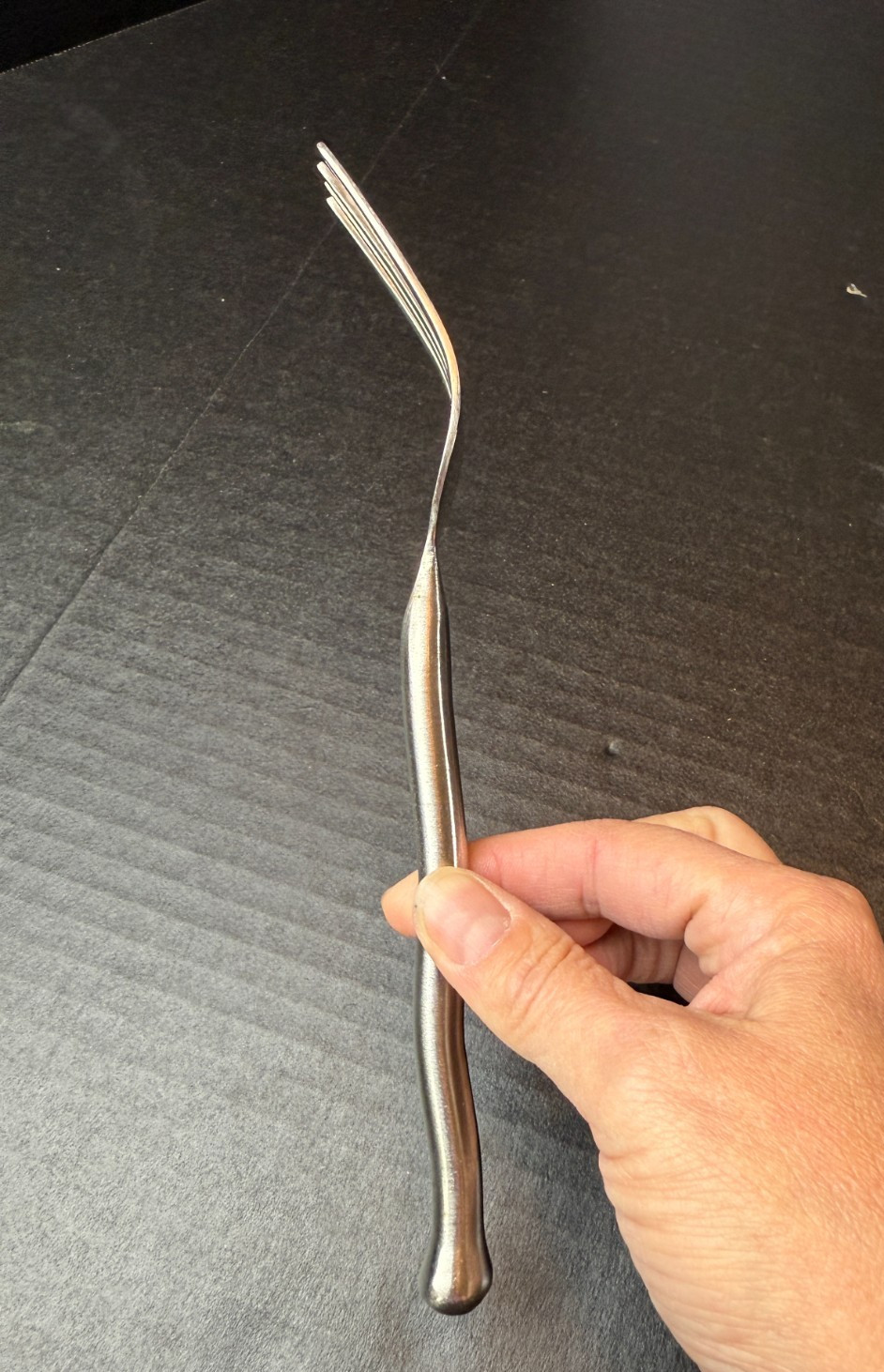 Walco RUSTIC TREE Stainless 18/10 Dinner Fork