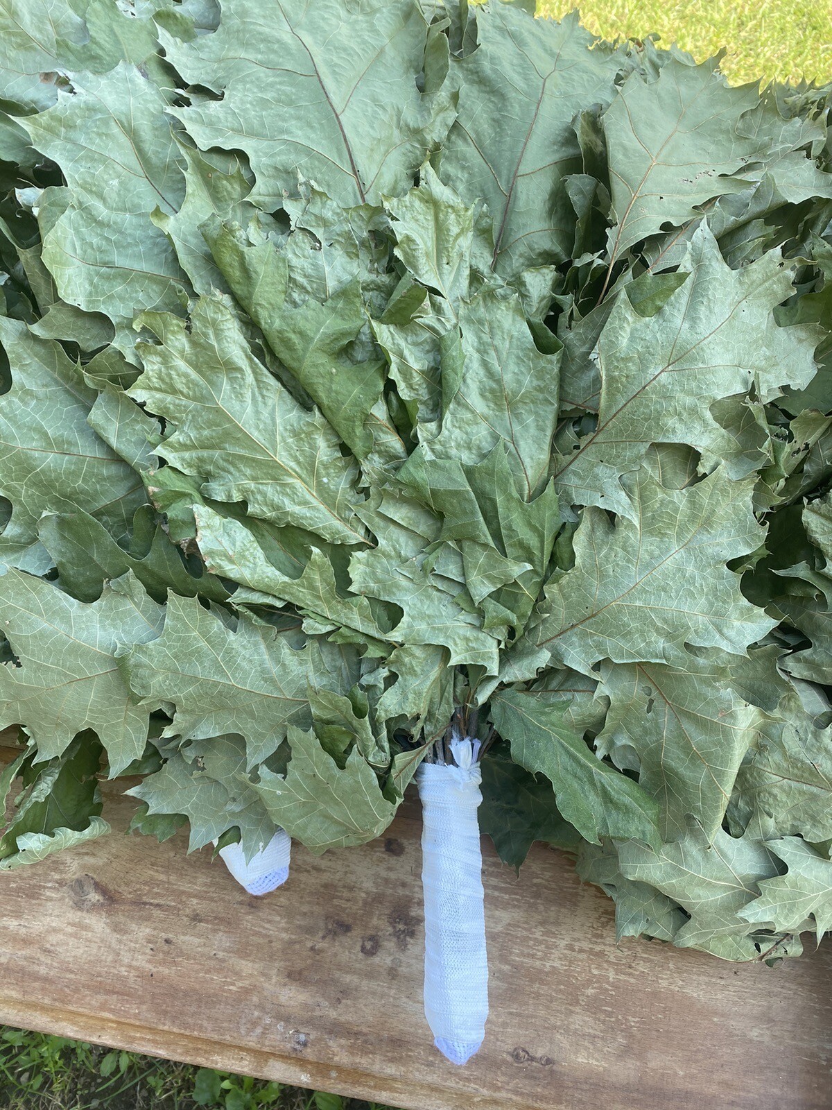 10 Oak whisks, banya brooms, whisks, venik, Birkenreisige, Venik, sauna