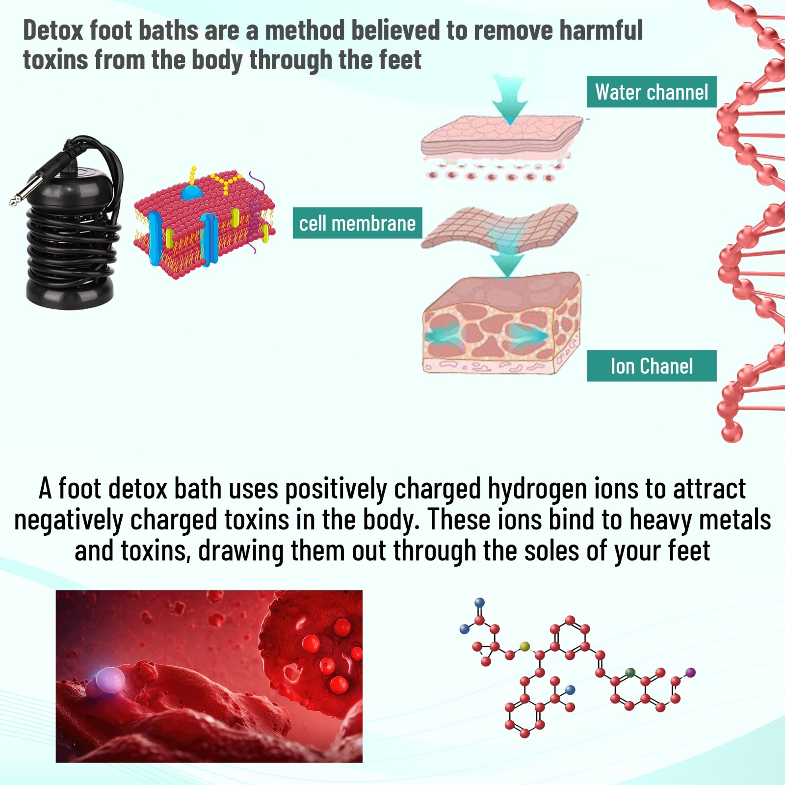 Ionic Detox Foot Bath Cleanse Spa Ion Kit Machine W/Tub Basin Array For Home