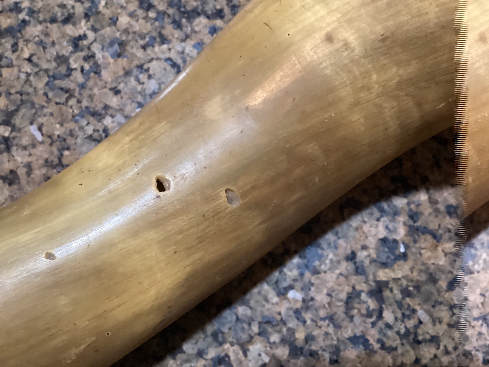 Large 18” Antique Powder Horn Engraved 1st New Jersey 1861