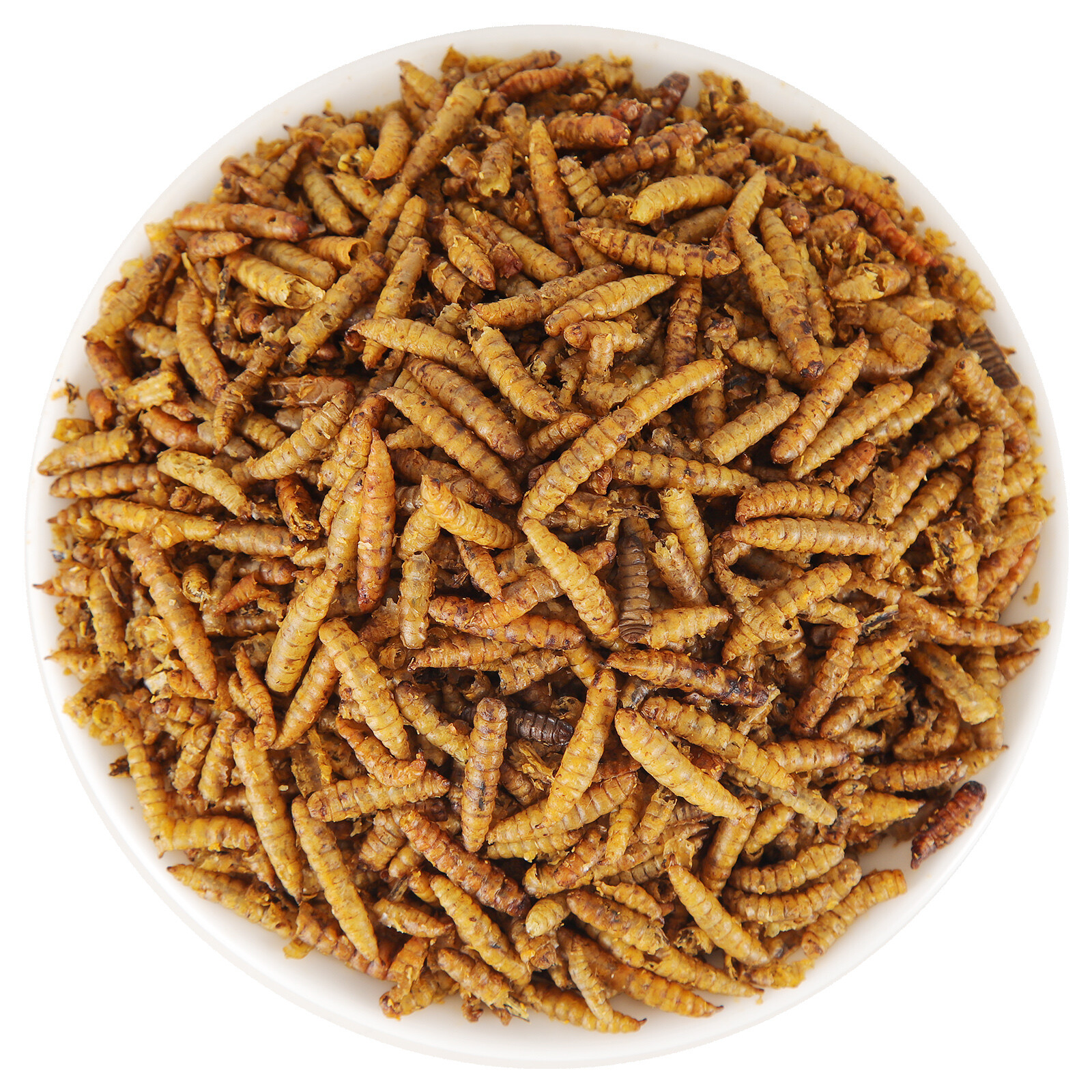 Dried Black Soldier Fly Larvae Mealworms for Chickens Fish Turtles Hen Birds LOT