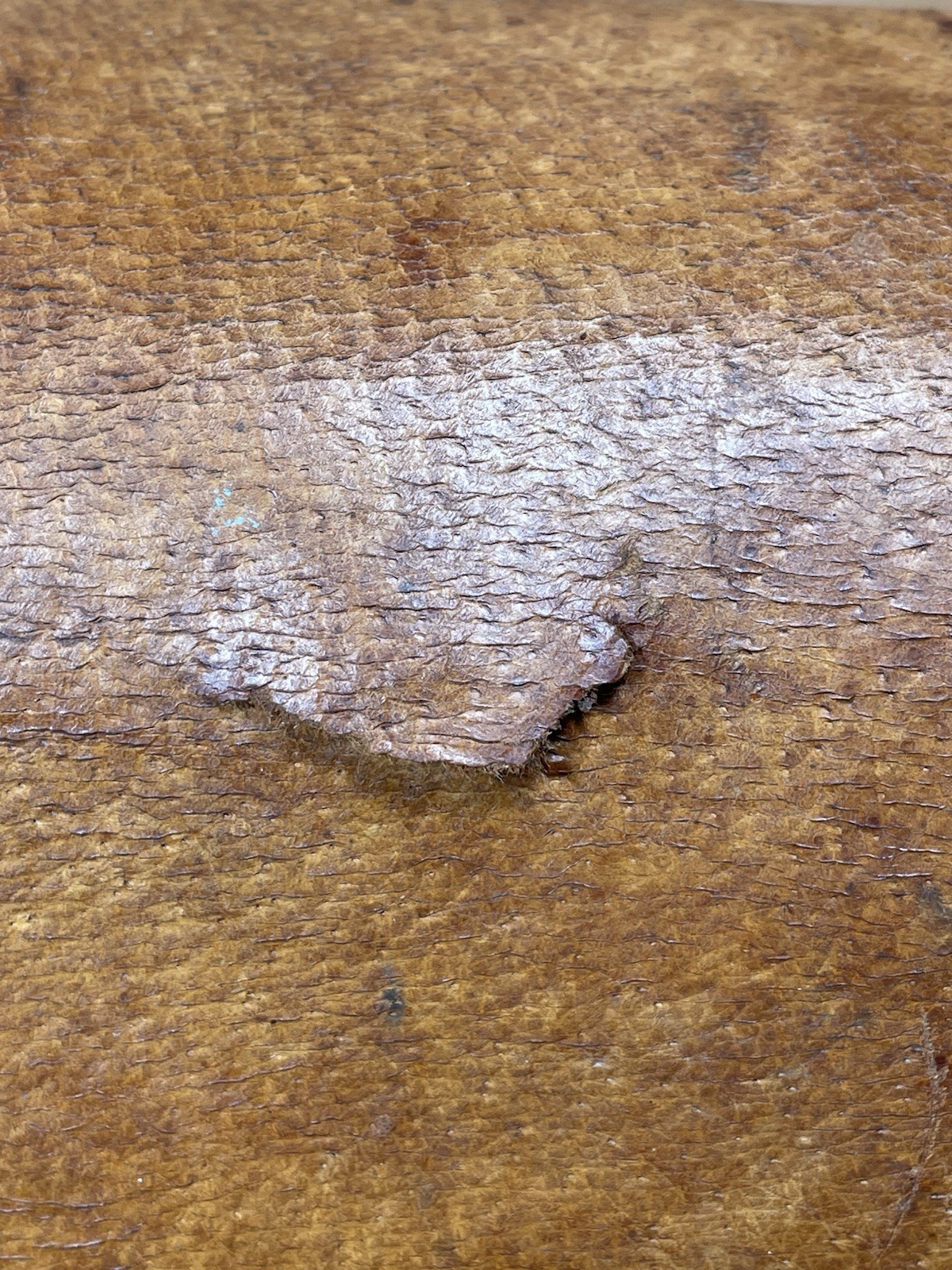 LAFAYETTE Surveyors Compass and 5 3/8" Telescope