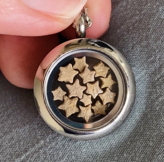 Silver-Tone Crinoid Star Fossil Locket Necklace