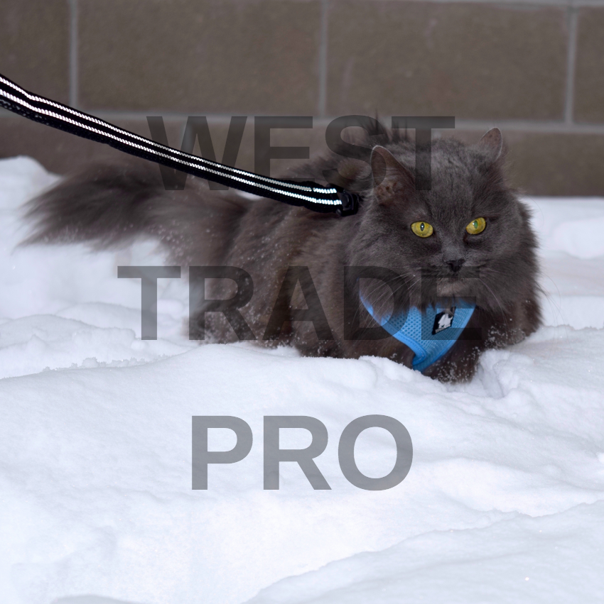 Truelove PURR Cat Harness, Safe, Adjustable Cat Vest Lightweight, Escape Proof