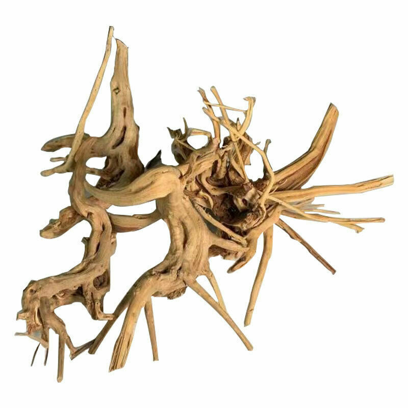 All Natural Aquarium Driftwood Assorted Branches Reptile Ornament for Fish Tank