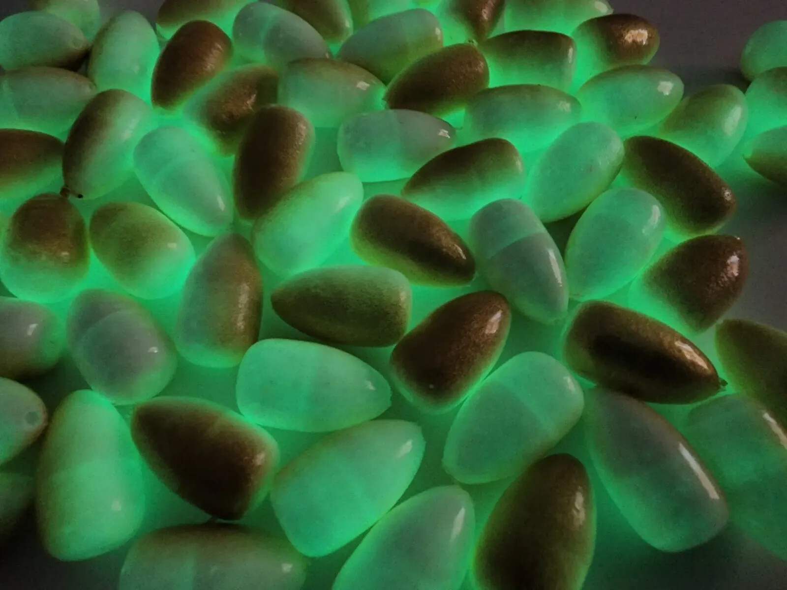 24 Pompano Bullet Floats Whiting fishing floats 20 mm glow and sand flea