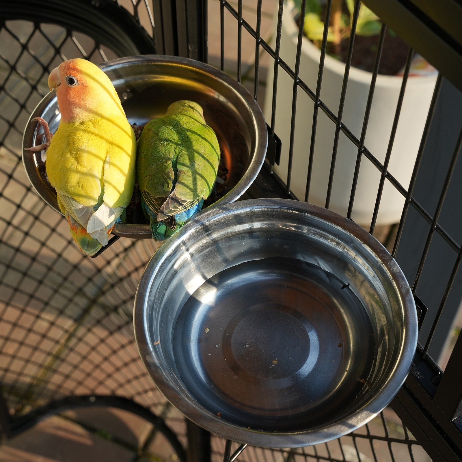 Extra Large Flight Metal Bird Cage Aviary Parrot Macaw Finch Tight Bar Spacing