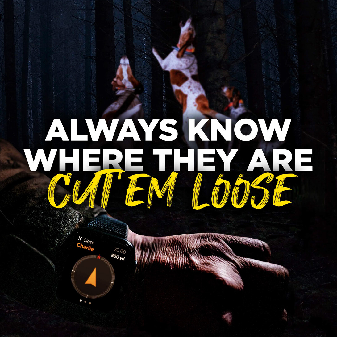 Dogtra PATHFINDER2 GPS Dog Collar Tracking Only Receiver LED Locate Light