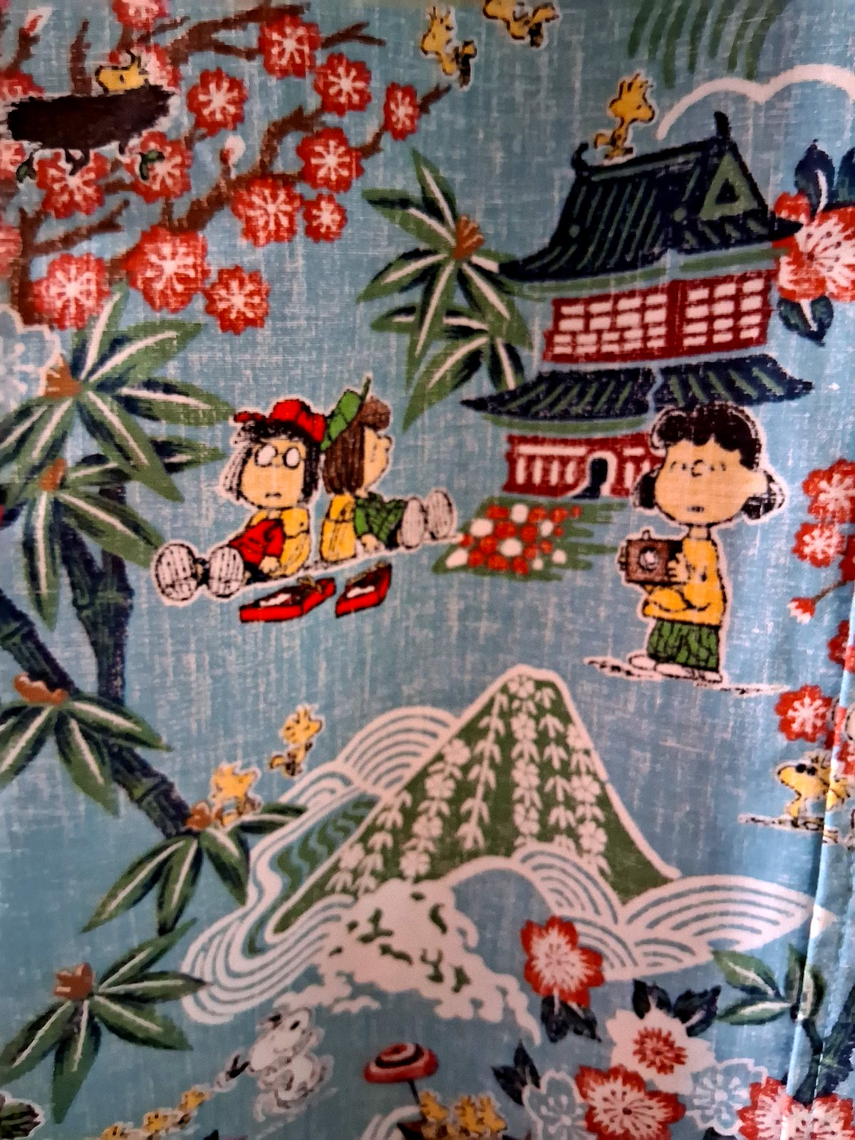 Reyn Spooner Peanuts in Japan Men's Aqua Button Front Shirt