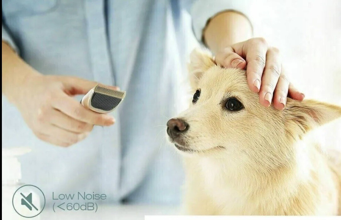 Pet Dog Cat Grooming Kit Rechargeable Cordless Electric Hair Clipper Trimmer Set