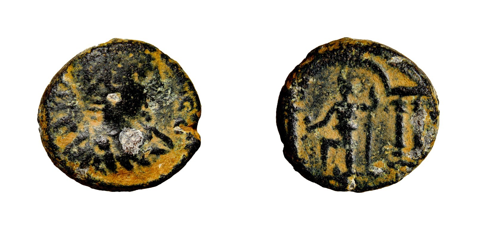 Very Rare & Nice JUDAEA, Antipatras. Elagabalus. AD 218-222. Æ Temple Coin COA