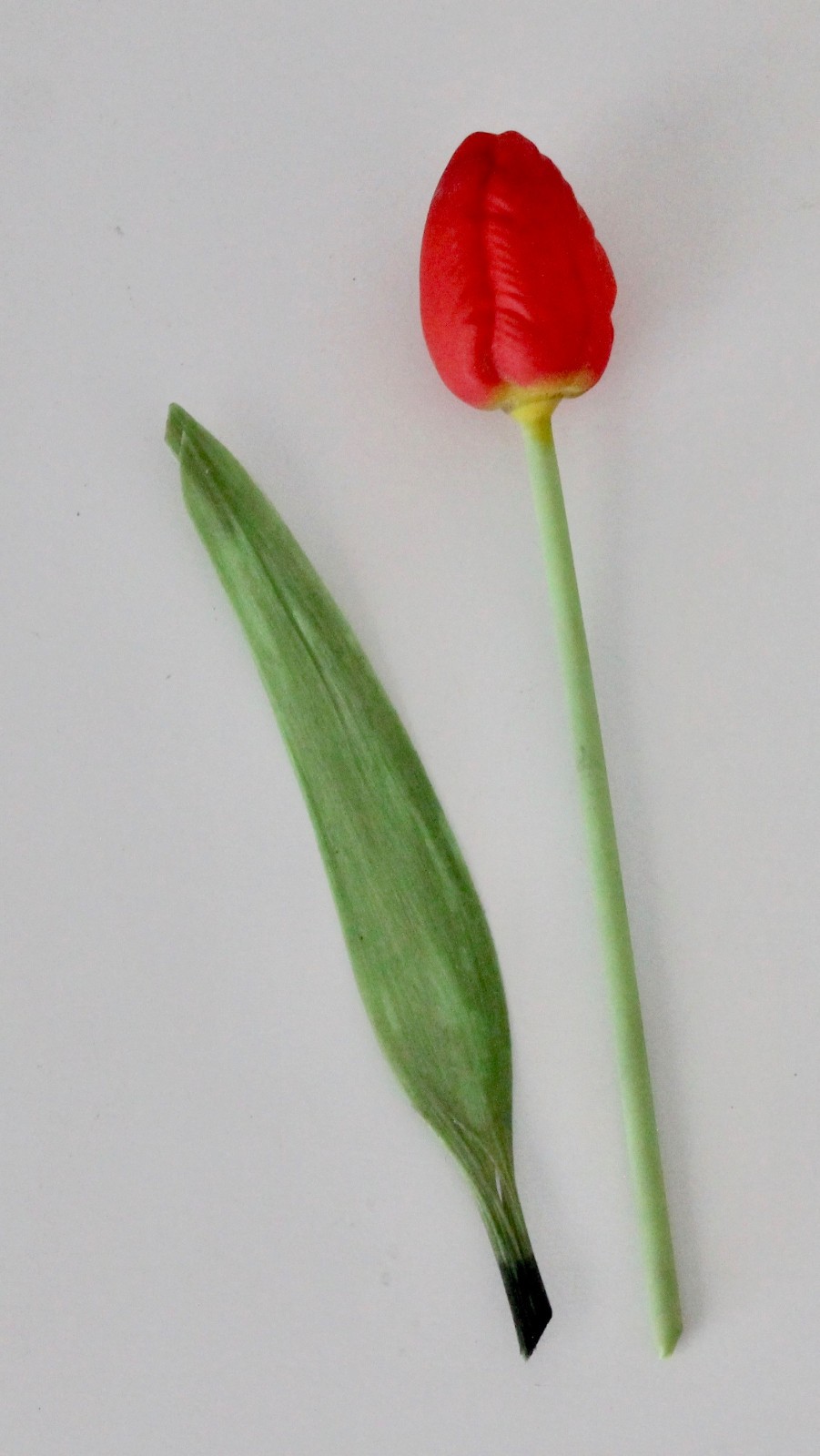 Antique 1920s BIMINI Art Deco Germany Satin Glass Red Tulip and Glass Leaf