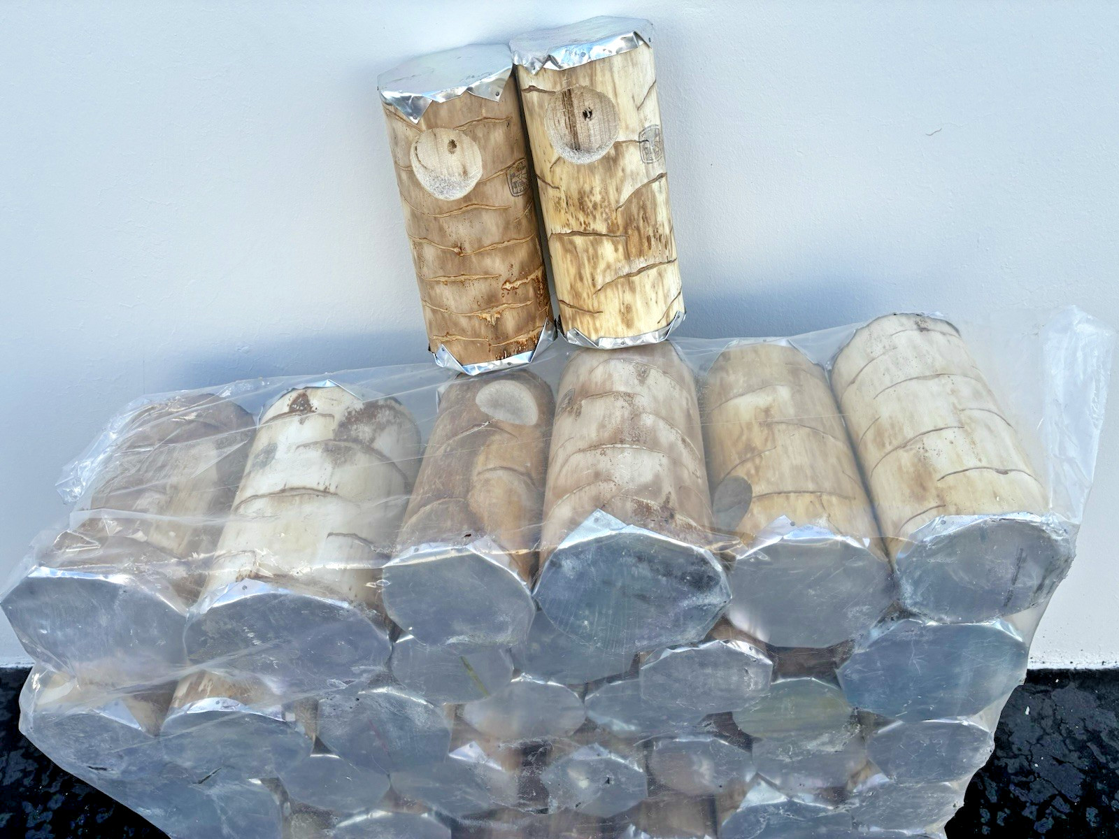 Parakeet Natural log nest - Quiote log - Lot of 2