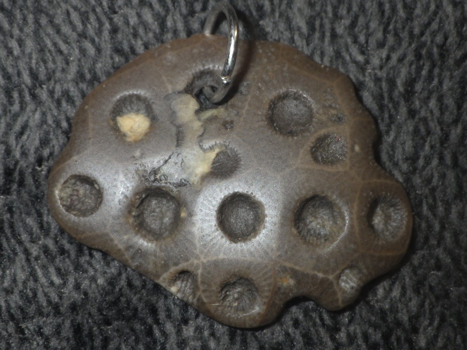 Petoskey Stone Pendant