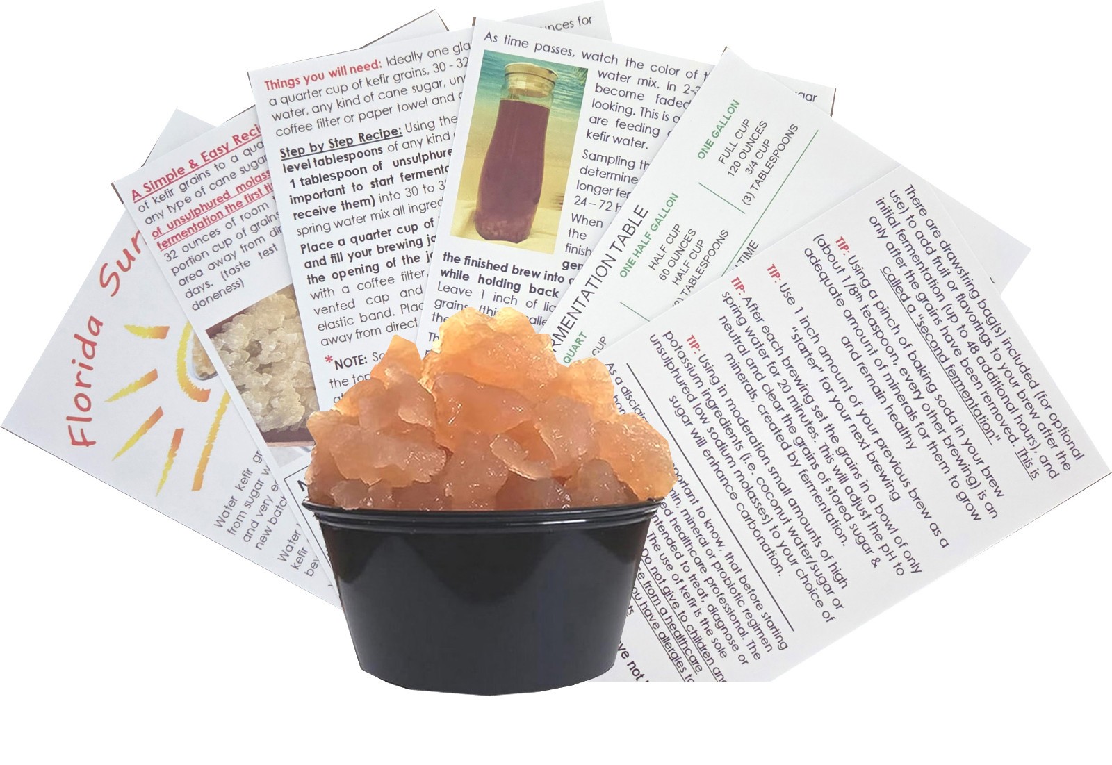 Large Portion Cup Florida Sun Kefir Water Kefir Grains