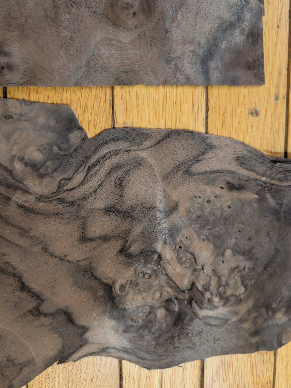 Walnut veneer 6" & 5" wide x 10" each and 1/42" 5 pieces wood raw