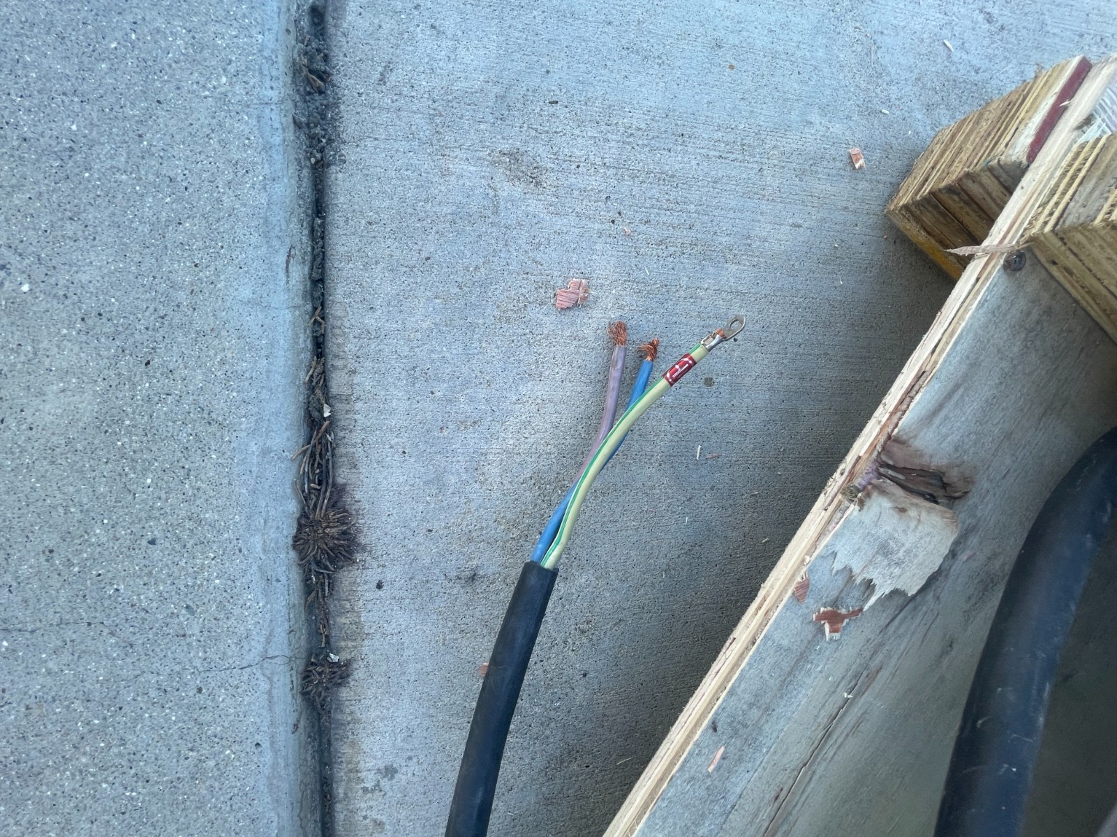 150L Vertical Autoclave Pressure Steam Sterilizer Digital Dental Mushroom 120V