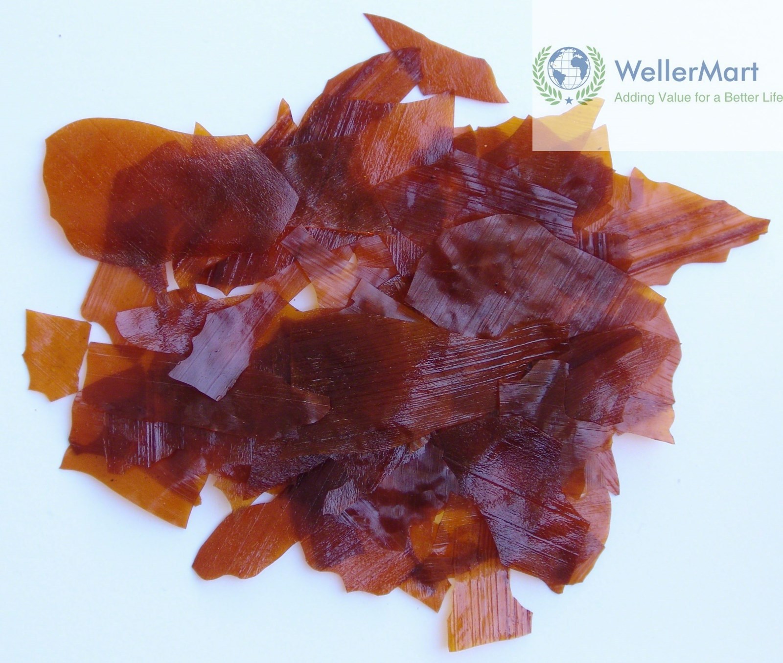 Clarinet, Saxophone Shellac Flakes, Pad Glue!