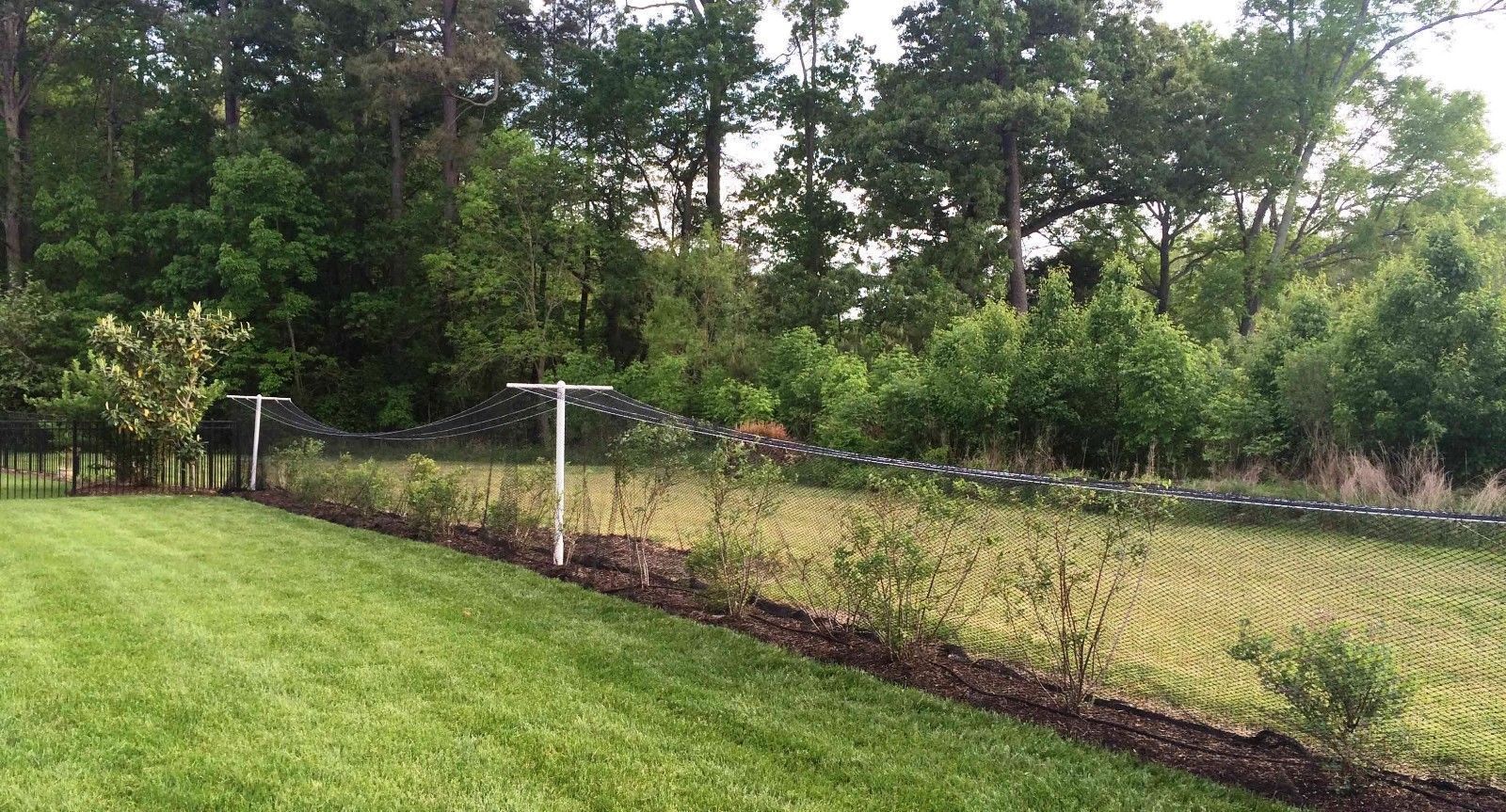 Netting Poultry Anti Bird Aviary Fruit Garden Protection Nets Long Lasting!