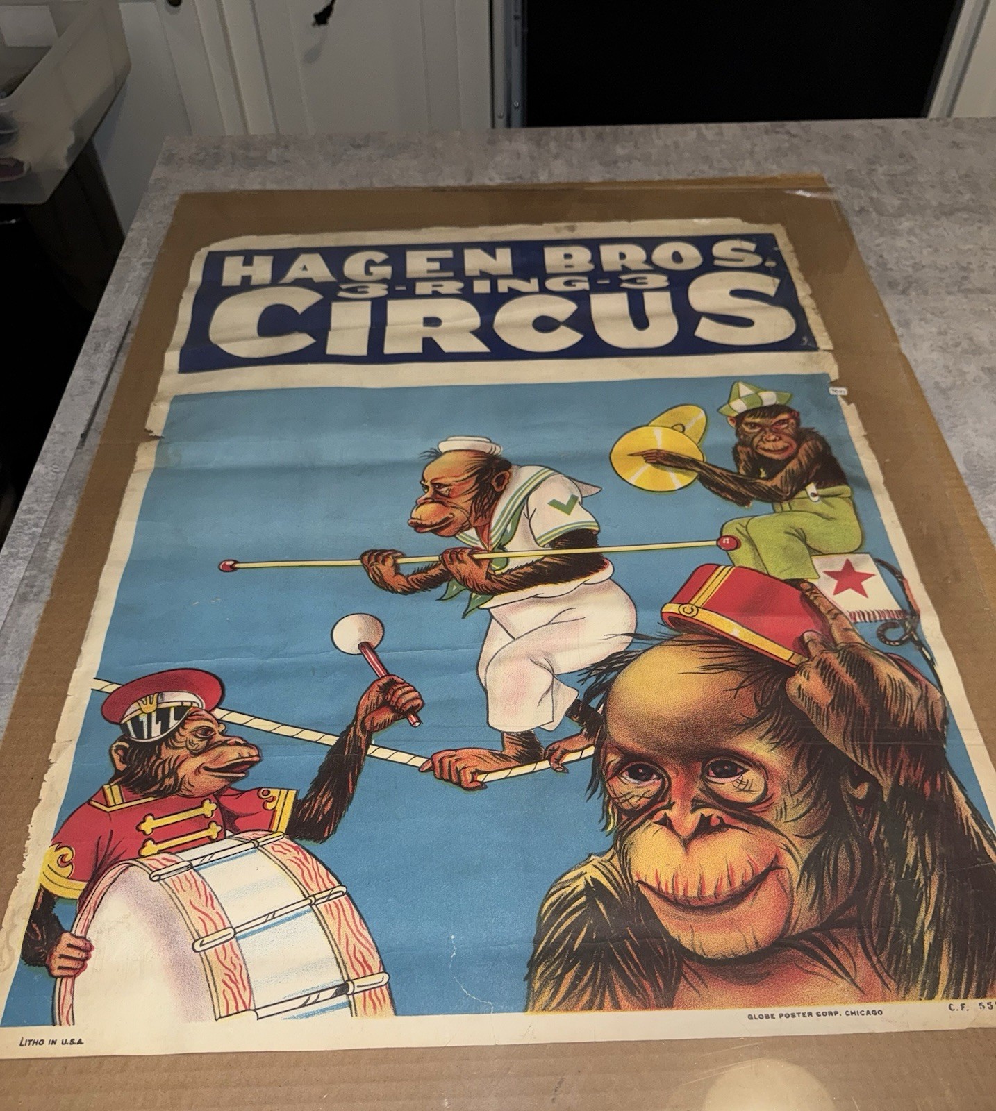 GLOBE Vintage Antique 1950S Litho Usa Circus Poster Evil Looking Monkeys Great