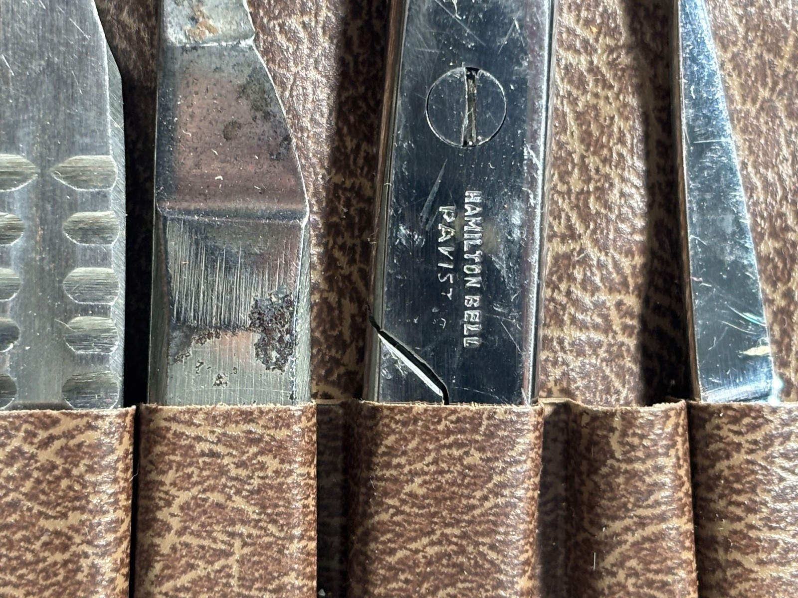 Vintage Dissection/Surgical Kit, Hamilton Bell Scissors, Case