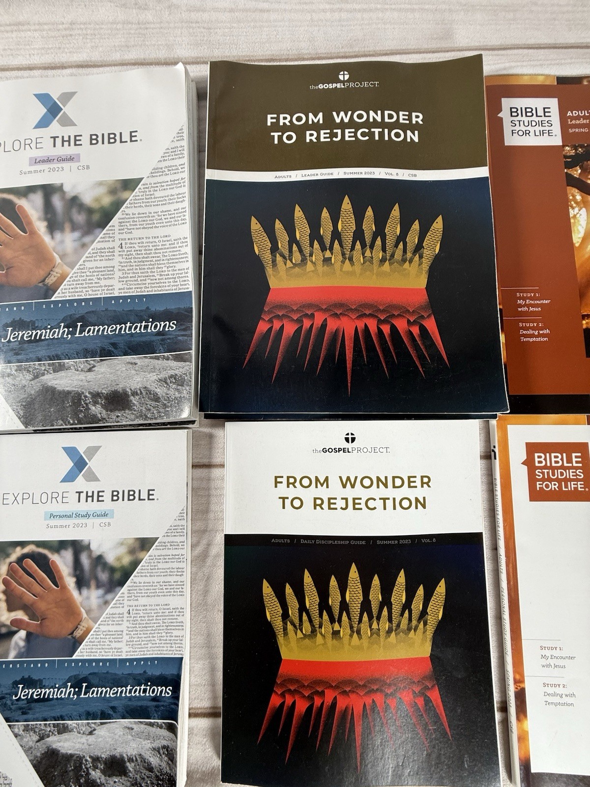 LOT OF Explore & Bible Studies For Life LifeWay Adults Leader/Personal Mixed