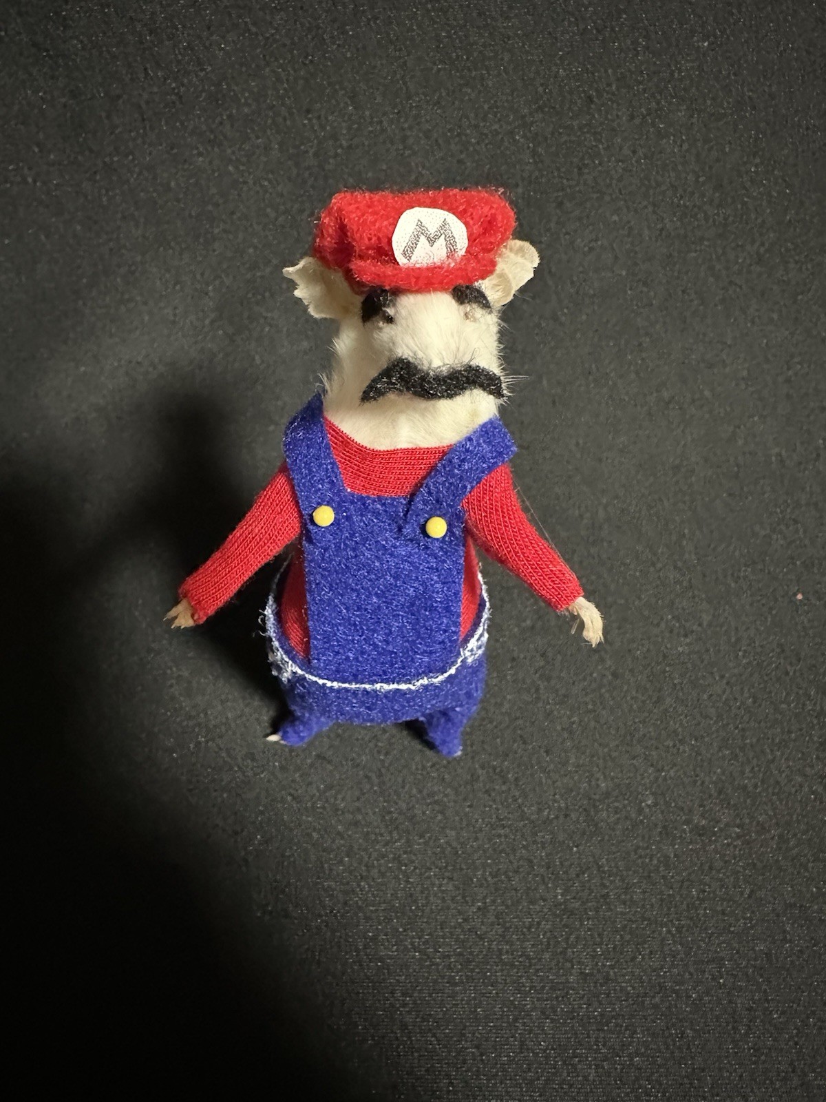 Taxidermy Mouse Super Mario Mouse Oddities Curiosities Taxidermy Art