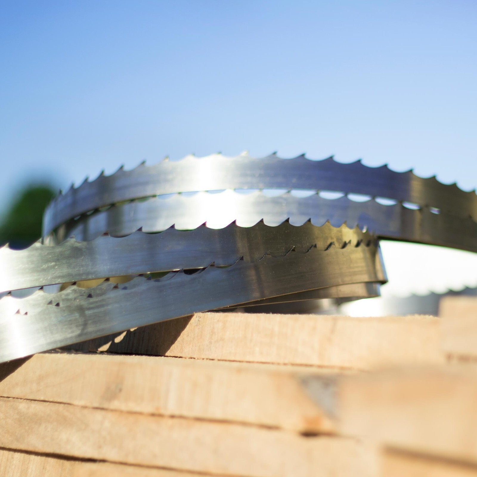 Wood-Mizer DoubleHard Sawmill Bandsaw Blades For Portable Sawmills 5 Pack 158"