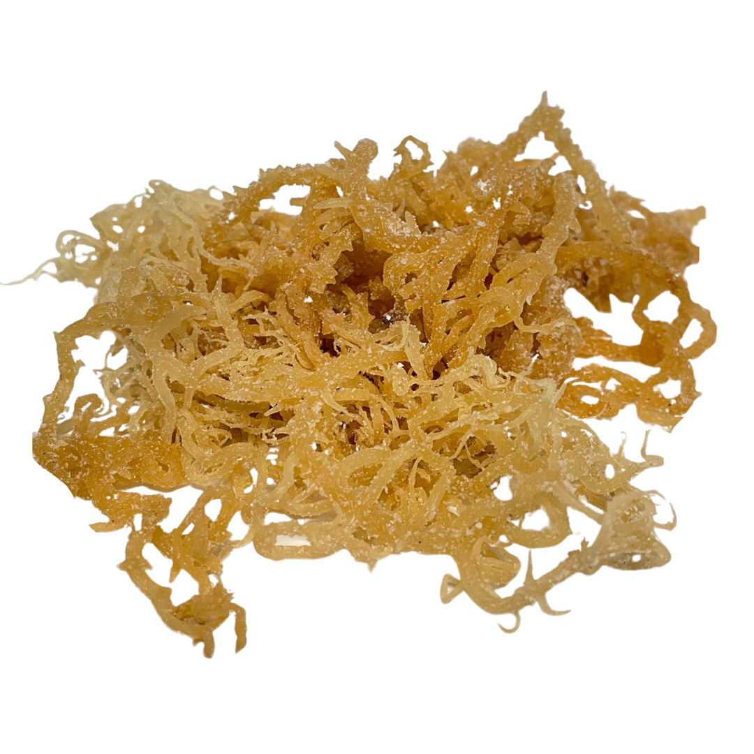 Irish Sea Moss Whole Leaf - 100% Raw WildCrafted Chondrus Crispus Superfood Bulk