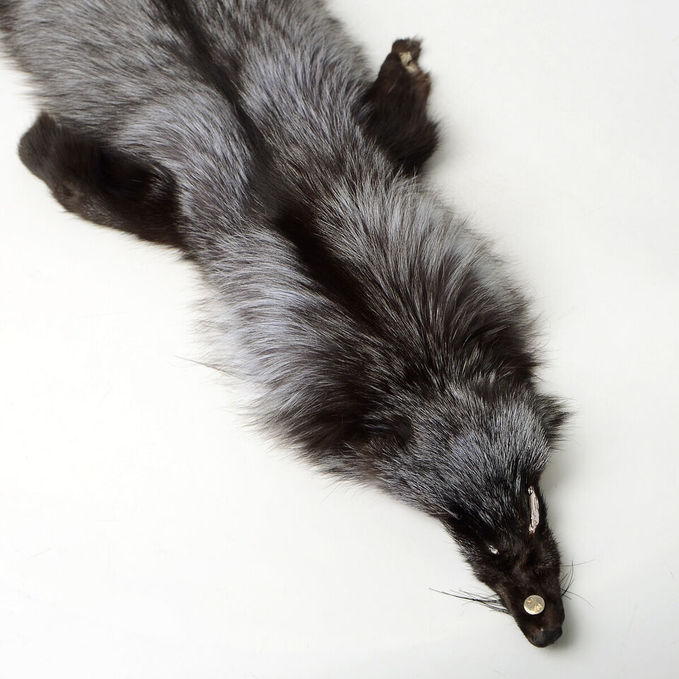 100% Natural Silver Fox Skin Hides Tanned Real Fur Pelt Leather Decor 39-47 inch