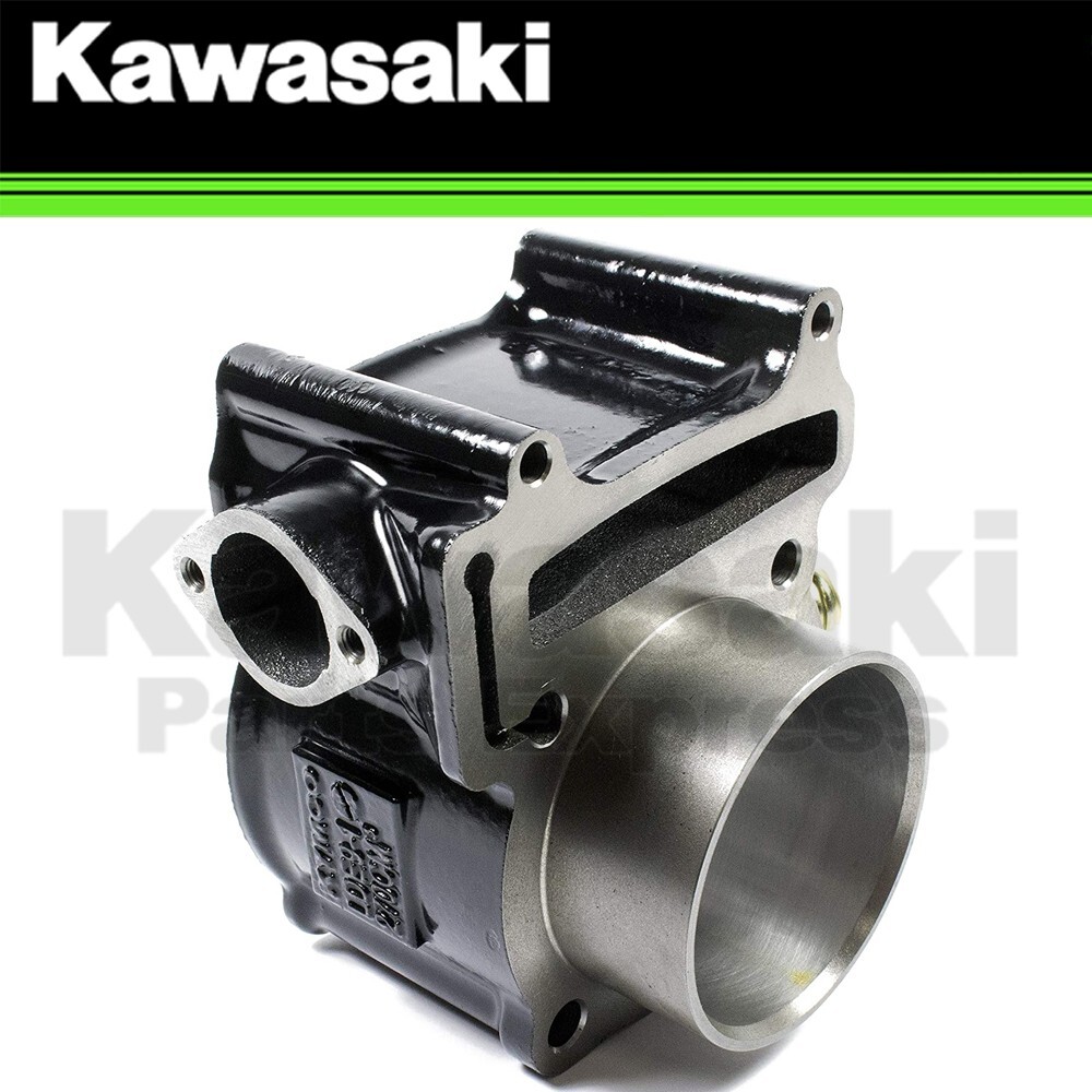 NEW 2012 - 2025 GENUINE KAWASAKI BRUTE FORCE 300 ENGINE CYLINDER 11005-Y003