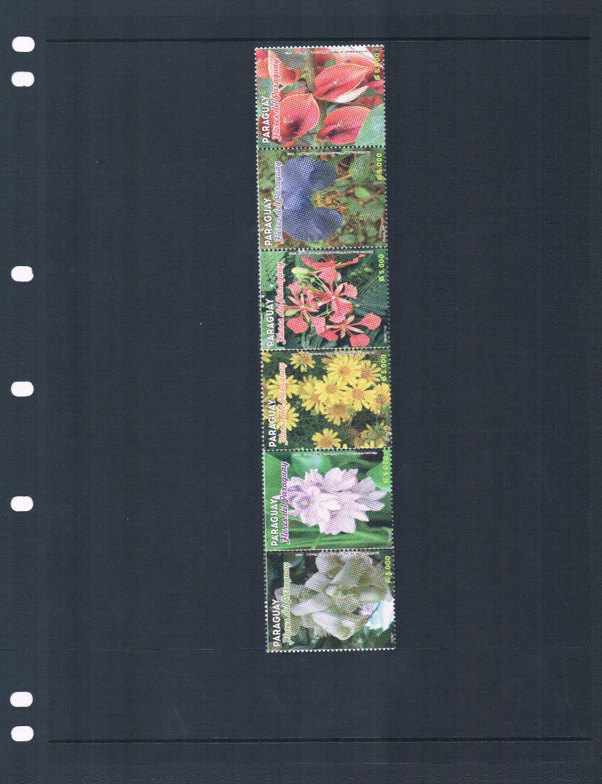 $21.00 Scott Value - 2013 PARAGUAY Flowers scarcer South America MNH NH UMM