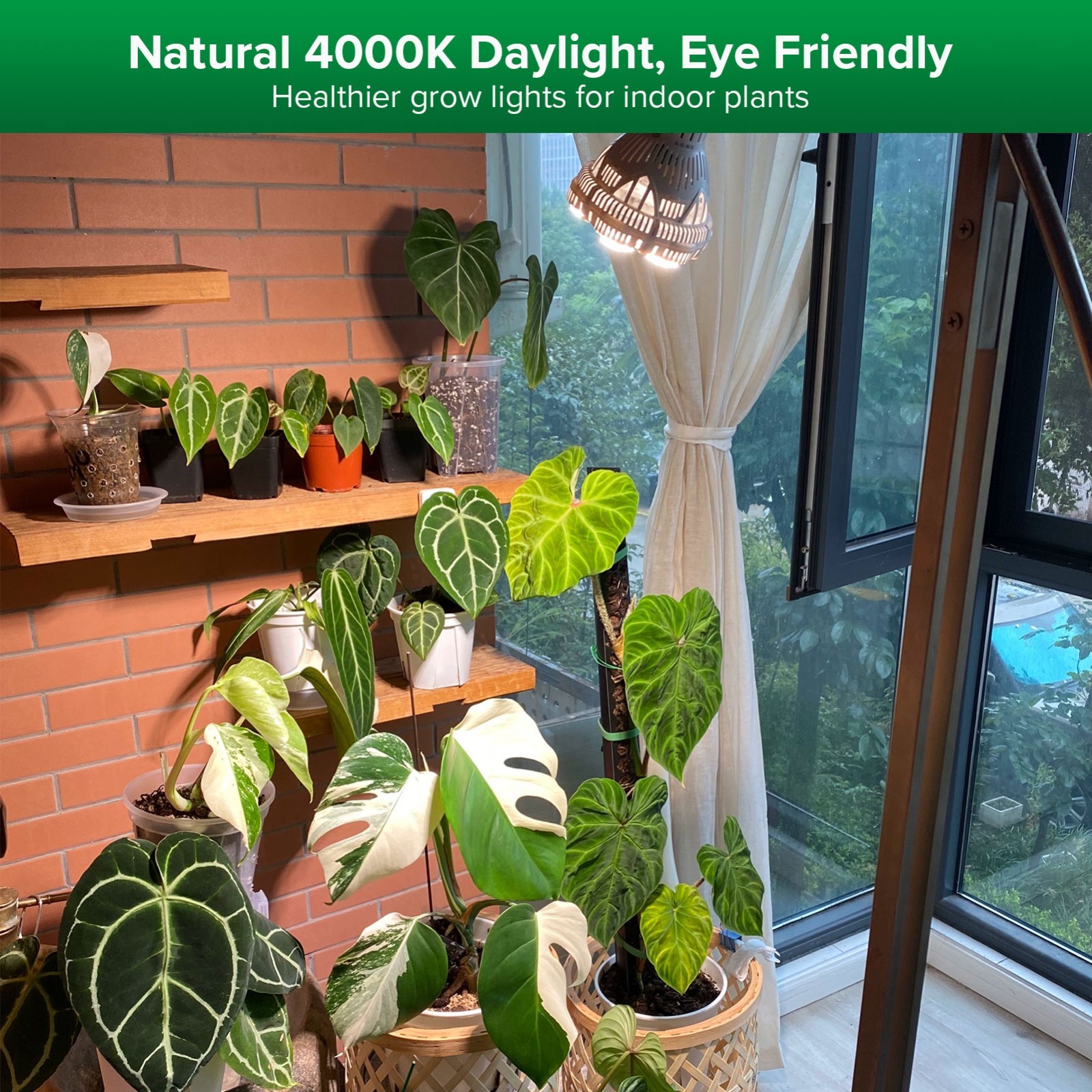 24W 36W E26 Led Grow Light for Indoor Plants Seedlings Full Spectrum Grow Bulb